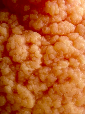 Sumo Orange