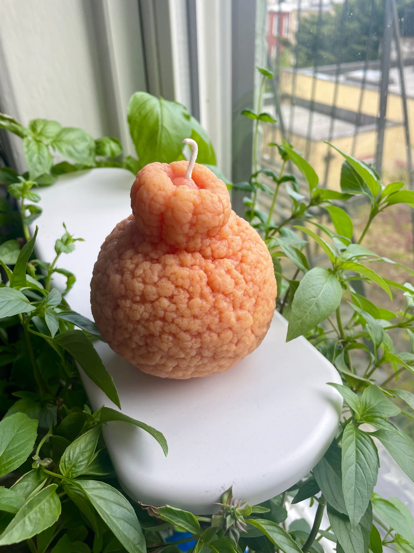 Sumo Orange