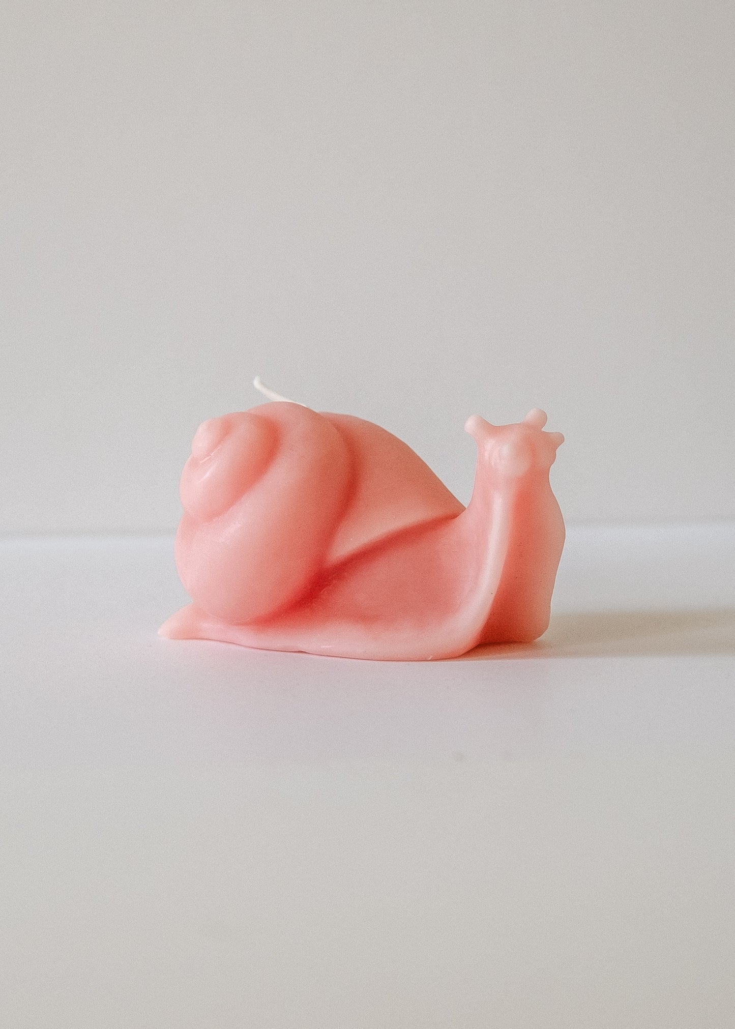 Snail