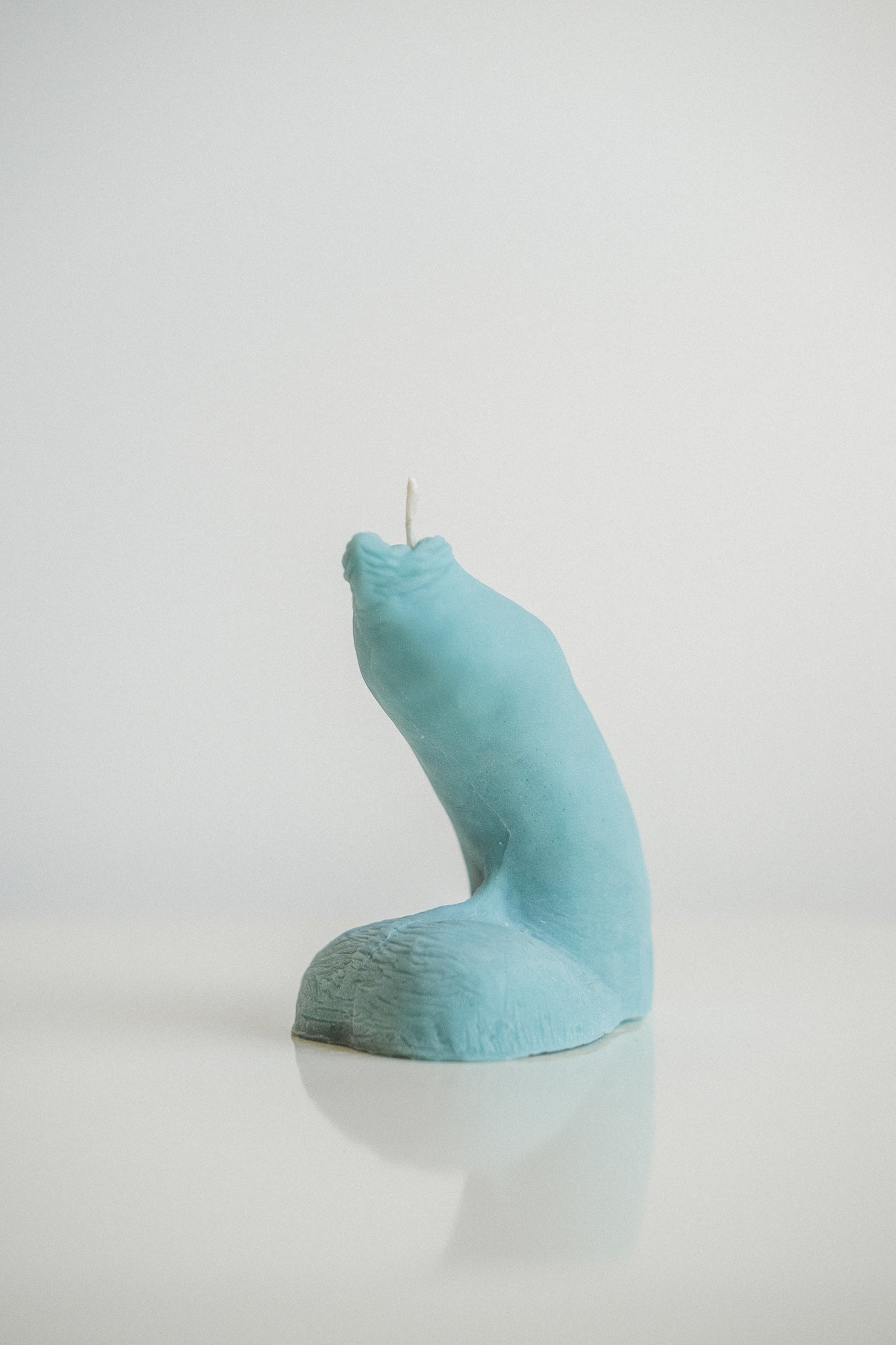 Flaccid Penis (Uncircumcised)