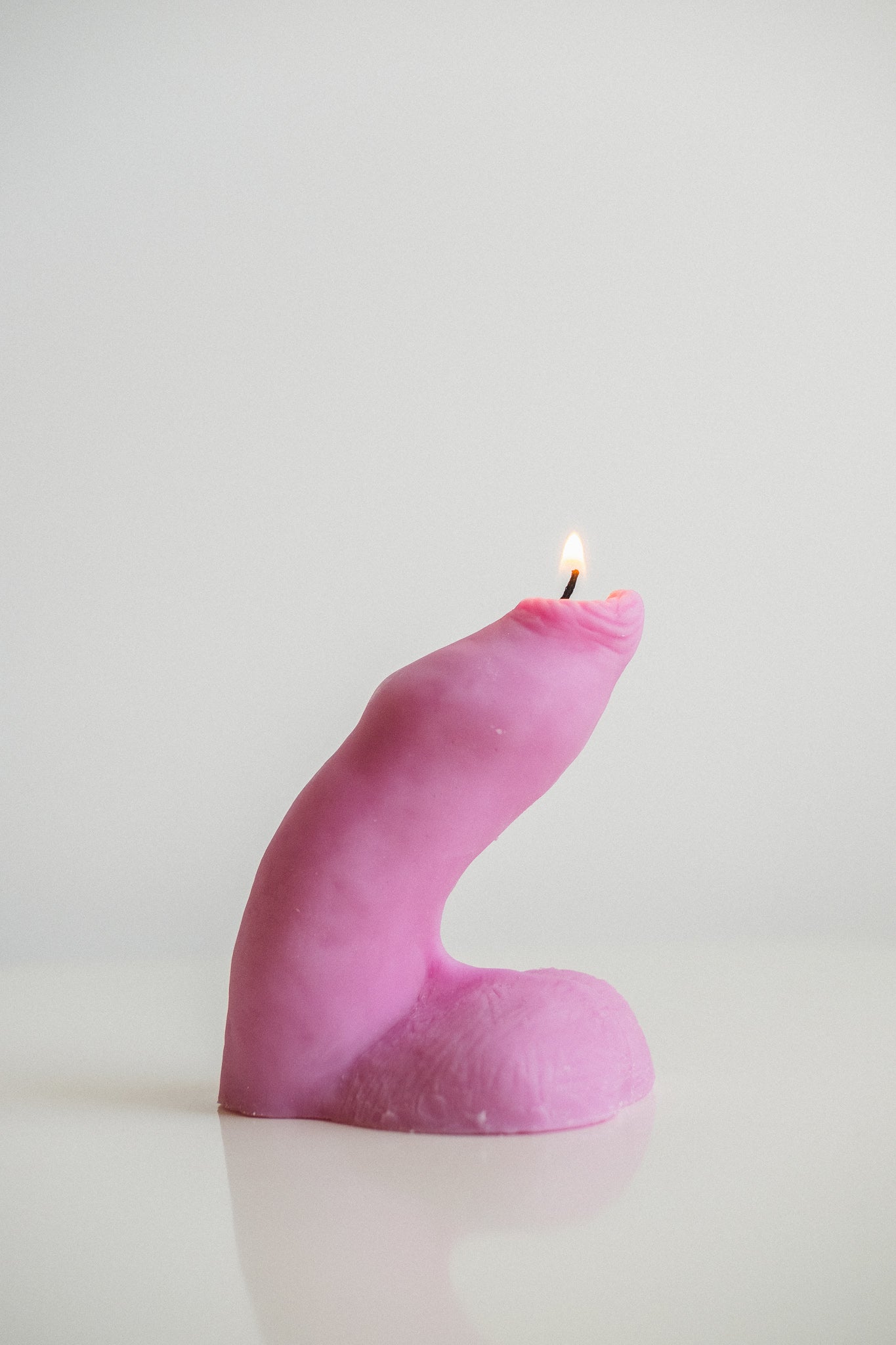 Flaccid Penis (Uncircumcised)